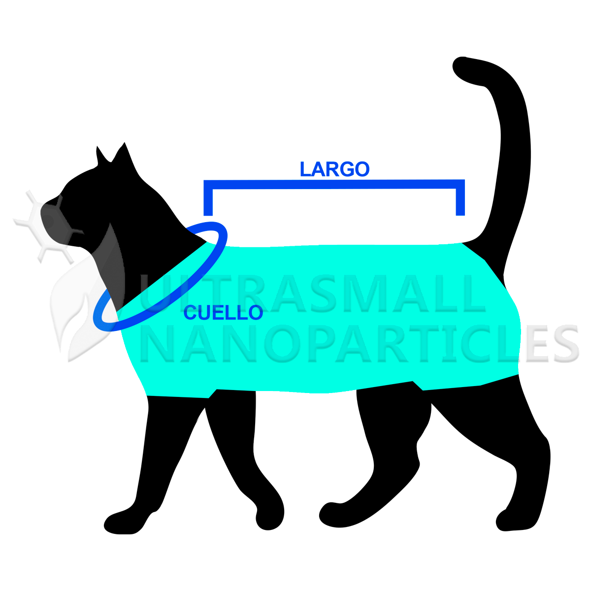 BODY LENGA - CATS