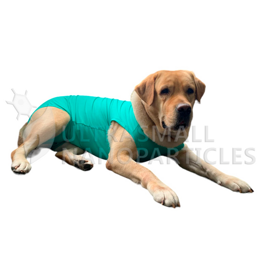 PET RECOVERY SUIT - PERROS