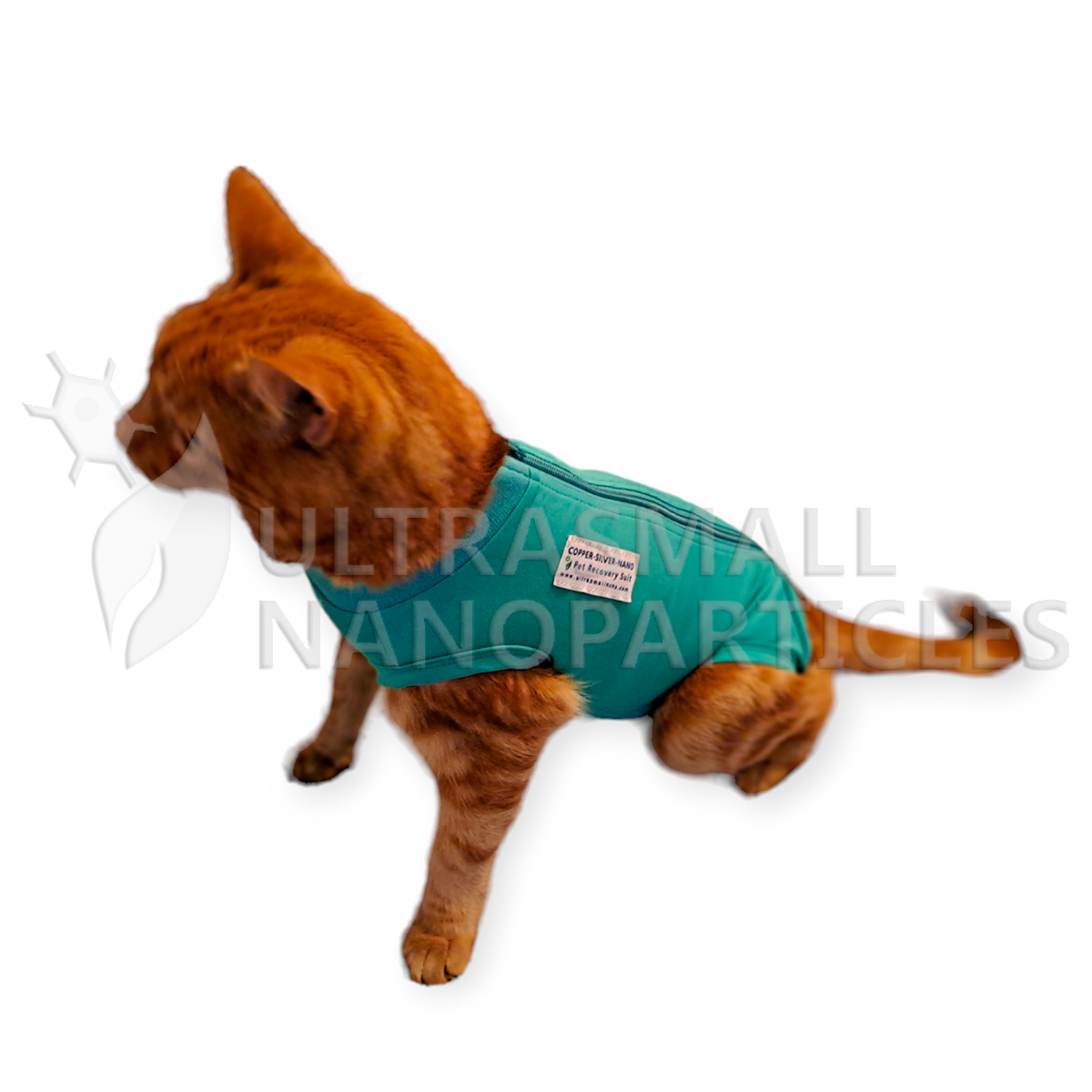 PET RECOVERY SUIT - GATOS