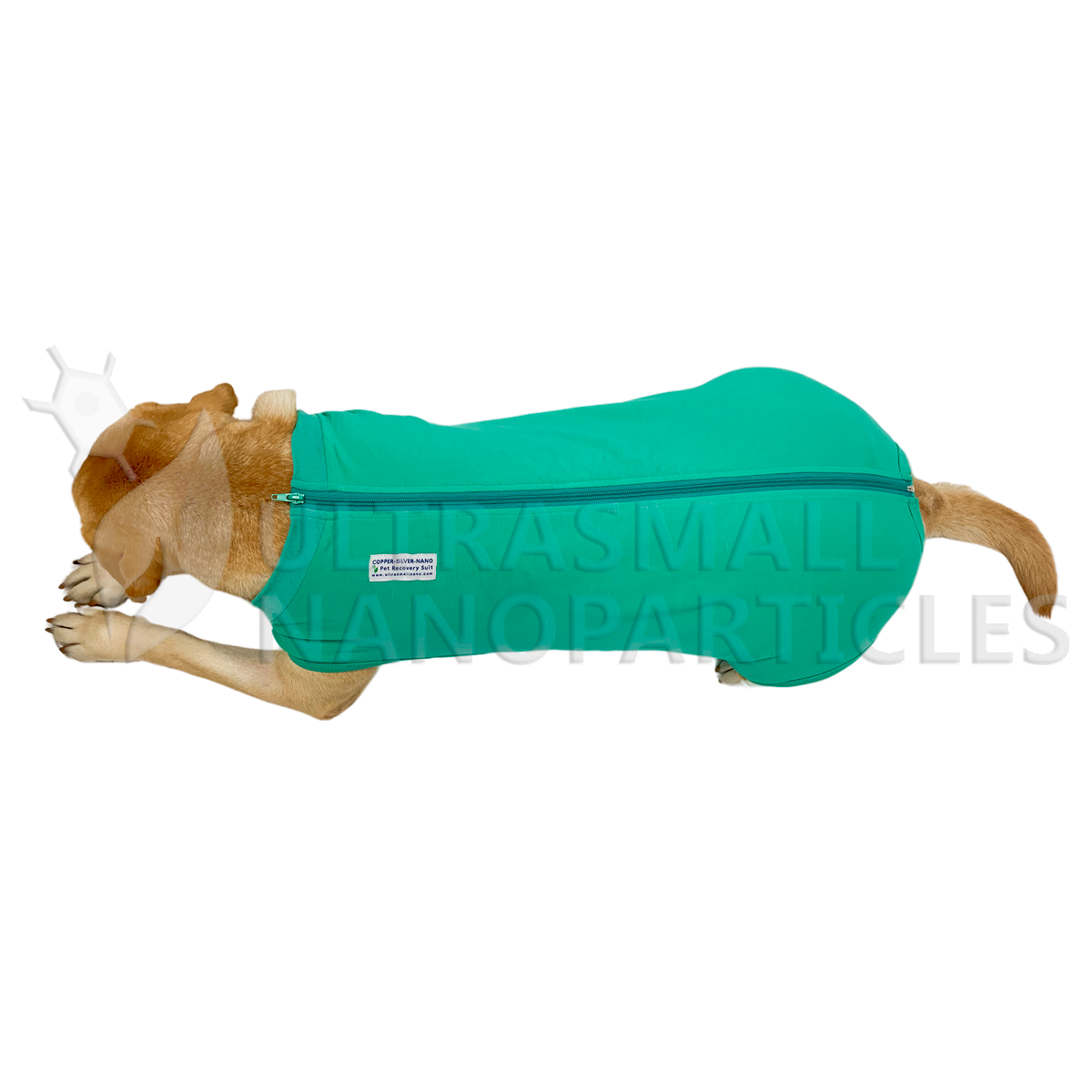 PET RECOVERY SUIT - PERROS