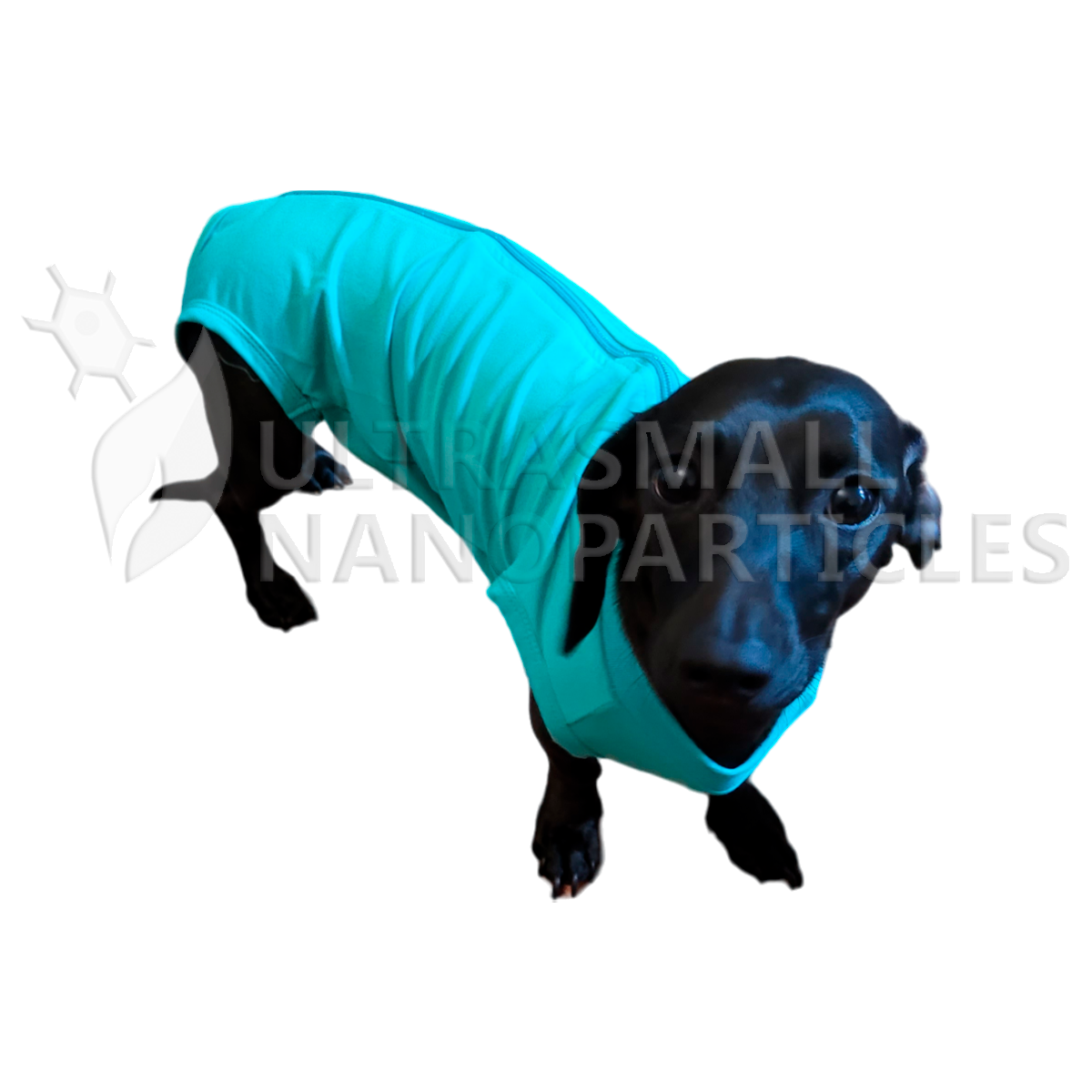 PET RECOVERY SUIT - PERROS