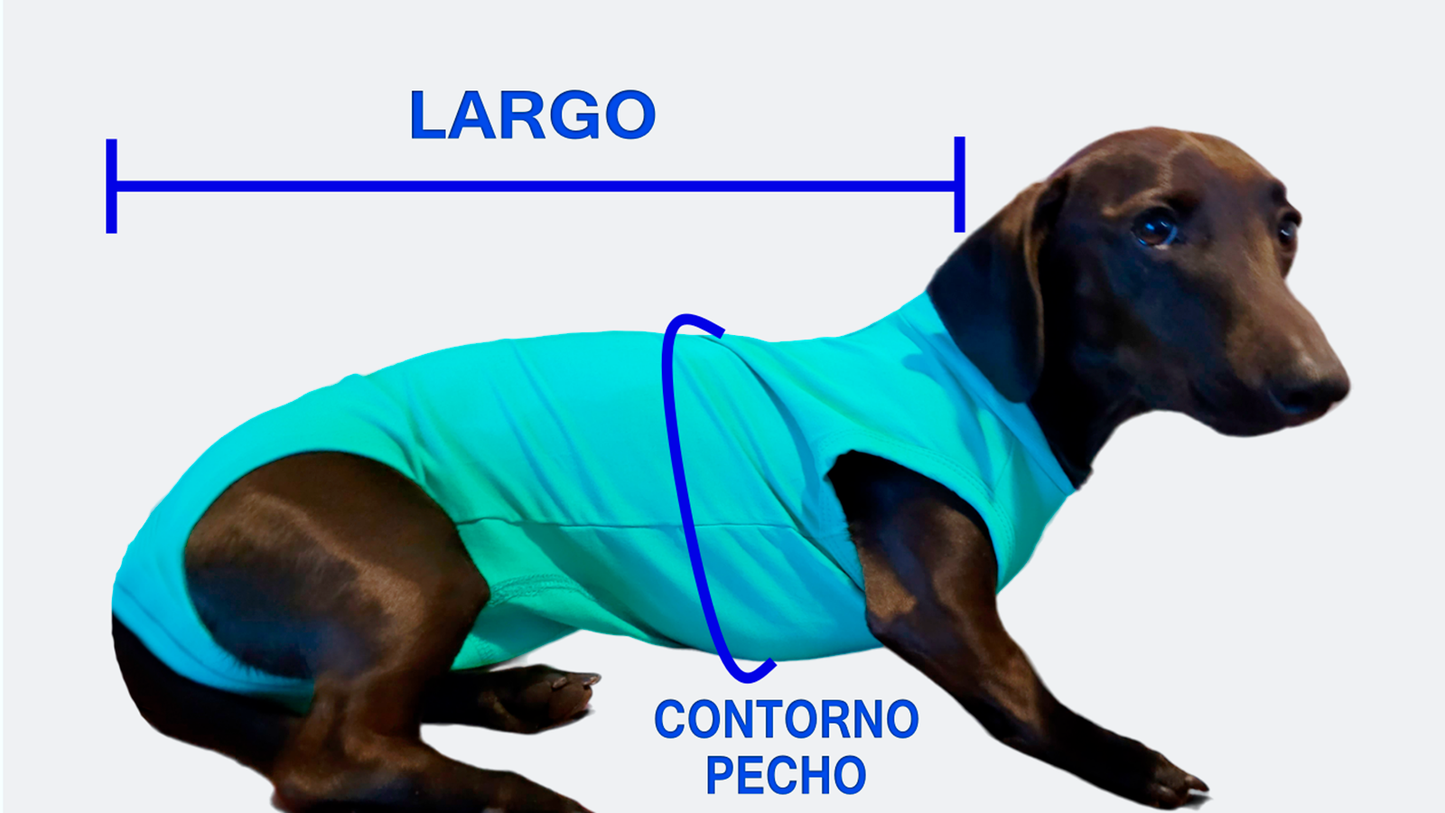 PET RECOVERY SUIT - PERROS